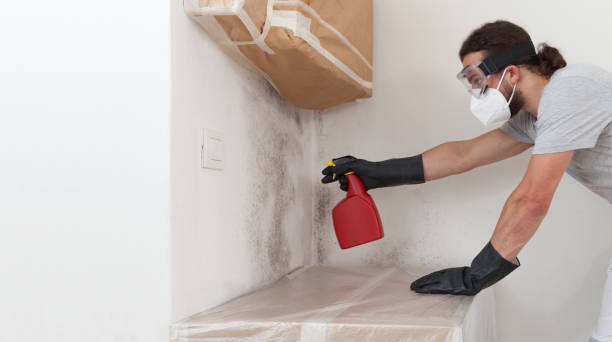 Professional Mold Inspection And Testing technician working in Bonlee, NC